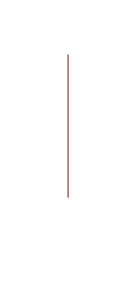 上質な鉄板焼きを