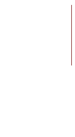 カジュアルに愉しんで